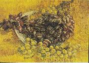 Vincent Van Gogh Still Life with Grapes Germany oil painting artist